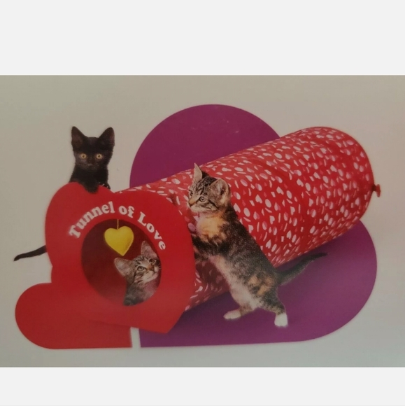 Boots & Barkley Cat Boots And Barkley Fun Tunnel Of Love Long Cat